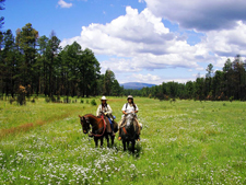 USA-New Mexico-Chiricahua Apache Ride